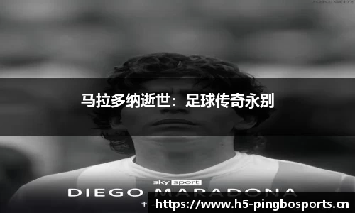 平博体育平台