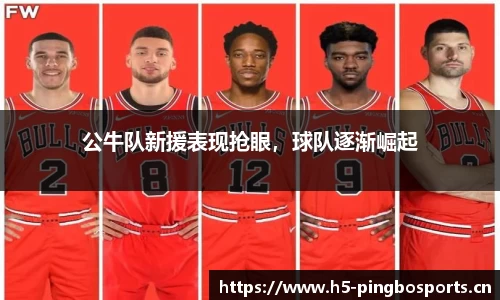 公牛队新援表现抢眼，球队逐渐崛起